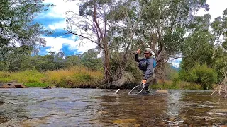 February Dry Fly and Nymph Fishing in Victoria | Steavenson River, Victoria