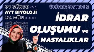 30) İdrar Oluşumu | Boşaltım Sistemi | 11. Sınıf Biyoloji | 2024 AYT Biyoloji Kampı 30. Gün