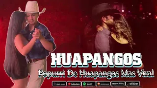 Mix de Huapangos 2024 ~ Popurri: Huapangos Pa' Zapatear ~ Huapangos Mas Viral 2024