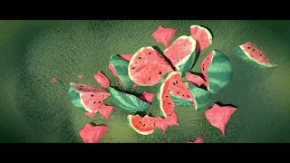 Watermelon A Cautionary Tale./ Animated kartoon