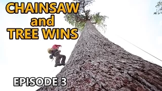 Chainsaw and tree wins. EPIC compilation, episode 3