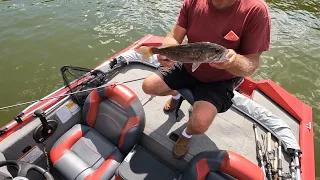 Fishing Berlin Lake Ohio - Multi Specie￼￼s Day