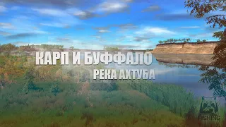 Русская Рыбалка 4 ► Russian Fishing 4 ► Река Ахтуба - Буффало и Карп