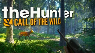 ТЕПЕРЬ Я ОХОТНИК! ► ПРОХОЖДЕНИЕ The Hunter: Call of the Wild #1