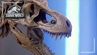 Meet Jurassic World's Dinosaur Advisor | Featurette | Jurassic World