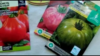 Эксклюзивные сорта томатов в моей коллекции...