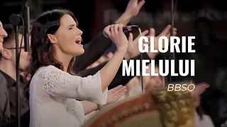 Glorie Mielului - BBSO