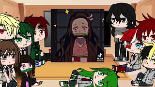 Mha reacts to tanjiro and nezuko.