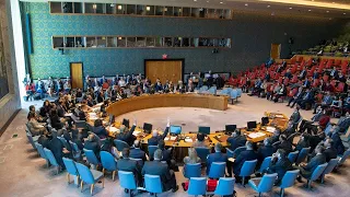 Security Council: Upholding the United Nations Charter (8699th meeting)