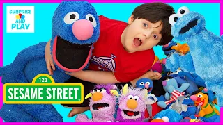 Sesame Street Plush Toys Collection