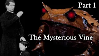 Demonic Toad Attacks Don Bosco | Ep. 17