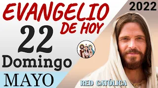 Evangelio de Hoy Domingo 22 de Mayo de 2022 | REFLEXIÓN | Red Catolica