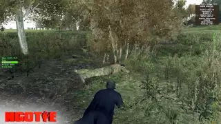 DayZ - Stream Sniper Revenge