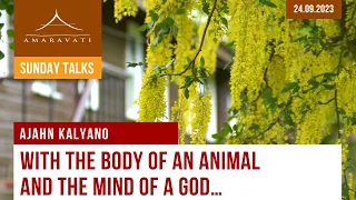 With the Body of an Animal and the Mind of a God | Ajahn Kalyano | 24.09.2023