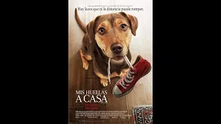 MIS HUELLAS A CASA - trailer