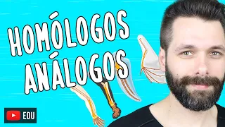 ÓRGÃOS HOMÓLOGOS E ANÁLOGOS - Evolução | Biologia com Samuel Cunha