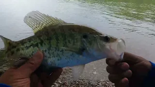 Jig And Bobber Fishing For Whatever Bites! Fishing  At Langley Oklahoma Below The Dam