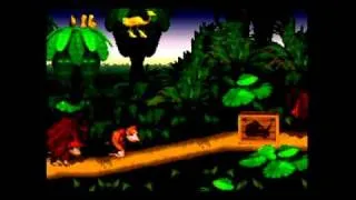 Donkey Kong Country - monkey humping glitch