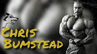 Chris Bumstead - Never give Up - Gym motivation