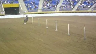 Open Mule Pole Bending winner at the 2011 National Western Stock Show