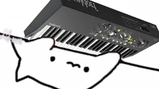 Bongo Cat: Wii Shop