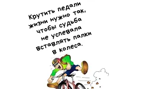 Крутить педали жизни нужно так, чтоб судьба не успевала вставлять палки в колёса! #анекдоты #юмор