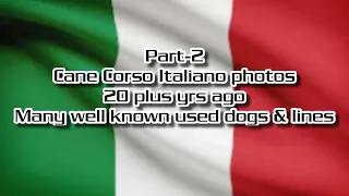 Cane Corso Italiano photos from 20 plus yrs ago. Of well known Italian dogs and lines. Part 2