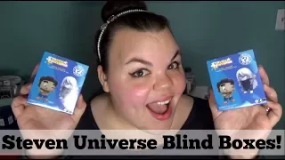 Funko Steven Universe Blind Box Opening!