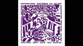 Various ‎– Hoosier Hotshots "Indiana In The Garage Era" : 60s Psychedelic,Moody,Punk, Rock Music US