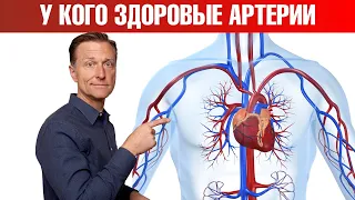 Сердечно-сосудистые заболевания. У кого самые здоровые артерии?🧐