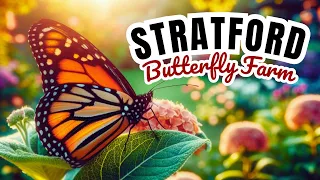 Inside The UK's Largest Butterfly Farm - Stratford-upon-Avon