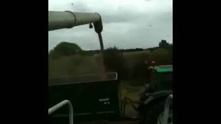 Lexion 600 unloading wheat agricontract