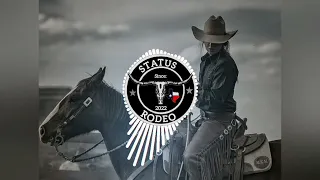 SELEÇÃO MODÃO SERTANEJO: "5 MODAS BRUTAS" (STATUS RODEO) 🌾🤠