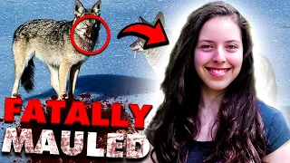 This Pack of Coyotes FATALLY Mauled Taylor Mitchell into Pieces! (Animals Gone WILD)