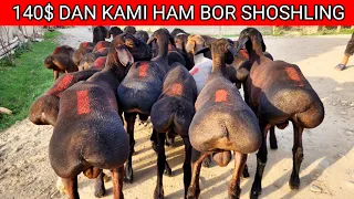 DOSTON ARZONCHIGA JUDA ARZONLARI KELDI 140$ KAMI HAM BOR