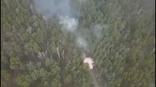 Знищення ворожої колони під Києвом