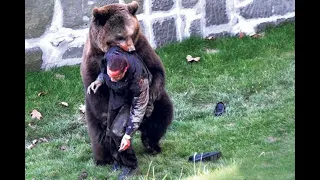 TOP 10 UNBELIEVEABLE Bear Attacks And Interactions Caught On Camera