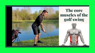 The core muscles of the golf swing
