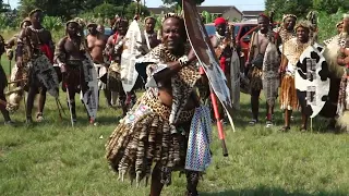 THE BEST OF THE BEST OF AMABUTHO UMHLABA UHLANGENE PRESERVING OUR ZULU HERITAGE. #UMBUMBULU