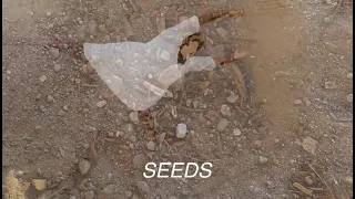 SEEDS short film, audience feedback May 2024 DACE Festival
