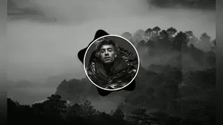 ZAYN - DUSK TILL DAWN feat. SIA  (Riddel Racker Remix)