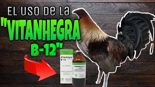 El Uso de la "VITANHEGRA B-12" en los Gallos (Beneficios) - Gallos Finos🐓