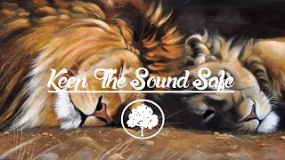 The Lion King - Can You Feel The Love (Mau Kilauea's Tropical Remix)