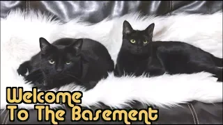 Cat People | Welcome To The Basement