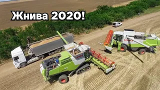 Уборка пшеницы 2020! Комбайны CLAAS Lexion 760 TT, трактор Zetor Forterra, борона Mzuri Rezult