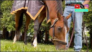 Mystik Dan and 2024 Preakness Contenders Complete Their Final Training Preparations May 17