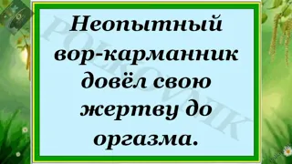 Добрый юмор. Открылся новый сайт для фотографий...