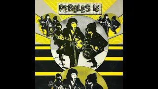 Pebbles Volume 16 Garage Compilation (Full LP)