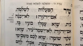 Tehillim psalm 127