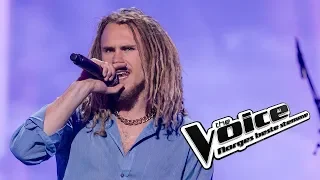 Endre Gryting – Touch The Sky | The Voice Norge 2019 | Live Show